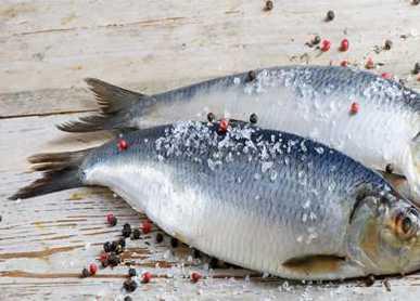 鸦片鱼怎么做好吃呢？