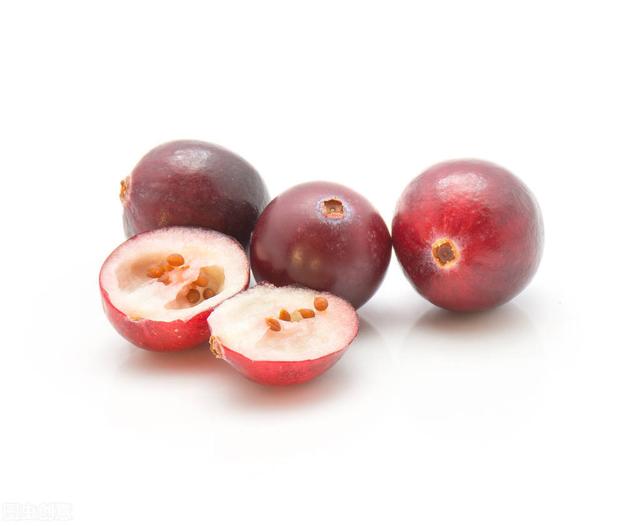 蔓越莓干都吃过，但新鲜的蔓越莓长啥样？